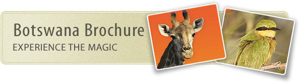 View Botswana Brochure