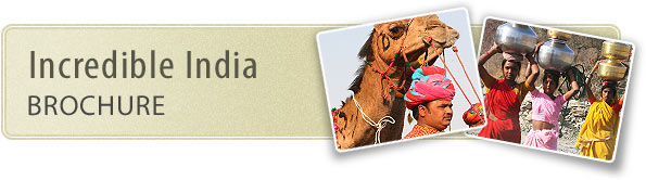 View Incredible India brochure